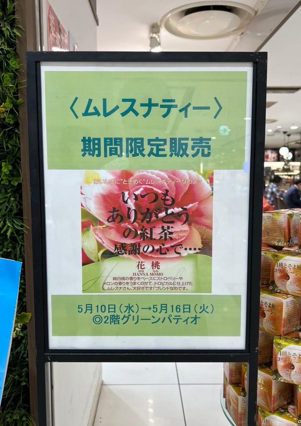 アンノンティーハウス ブログ 【出店情報】近鉄百貨店四日市店に期間限定出店!!【5月10日~5月16日】