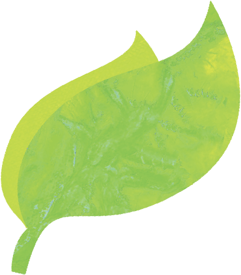 茶葉 イラスト